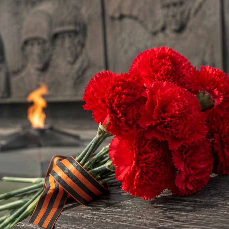 Цветы на 9 мая: что дарят ветеранам — гвоздики, традиции и этикет от декоратора